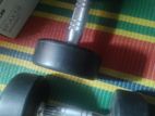 Pivot BranD 10Kg Dumbell