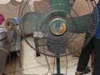 PK FAN