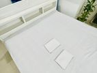 Plain white bedsheet with 2 pillow cover