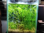 Planted aquarium sell