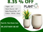 Plant's on Vr-07