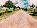 Plot for sale @Mohammadpur