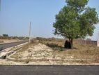 Plot Sale 5 Katha South West Corner at Sector-25, Purbachal