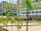 প্লট বাউন্ডারি করা দক্ষিন মূখী ৩ কাঠা => রাস্তা ৪০ ফুট