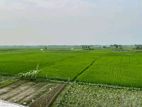 প্লট বিক্রি