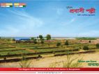 প্লটের বিক্রয় চলছে ৫ কাঠা