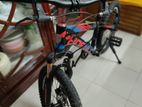 Phoenix cycle for sale