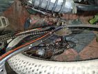 Phoenix Bicycle for sale