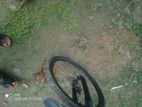Phoenix Bicycle for sale