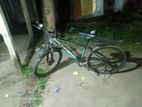 Phoneix Cycle