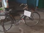 Bicycle for sell