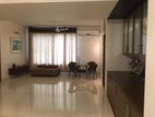 POOL_GYM 3600 Sqft Full Furnished New Apt: Rent @ Gulshan