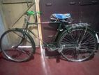 Bicycle for sale