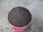 Pot Soil ( পট সয়েল ) ২৫ কেজি প্যাক