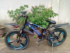 Potter Plus Duranta by Cycle