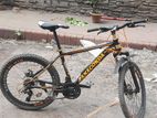 Bicycle for Sale