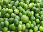 প্রাইকারি লেবু বিক্রি