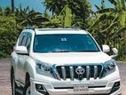 Prado For Rent