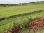প্রবাসী Category (5 Katha) Sector-5