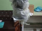 Premium Doll