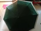 premium umbrella