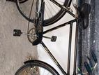 Bicycle for sell