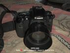 Prime Lens And Zoom 50—250