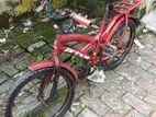 Prince 20' Cycle For Kids
