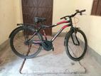 Prince 26" Cycle For Sale