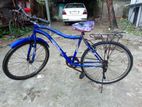 Prince Cycle 26"