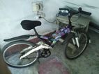Prince cycle for sell