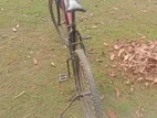 Bicycle for sale