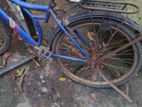 Bicycle for sell
