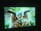 Projector Sell