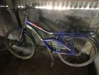 Promax bicycle (Old)