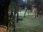 Land For Sell