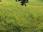 Land for sale