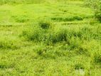 Land for sale