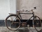 Bicycle for sell