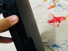 Ps3 (playstation3)