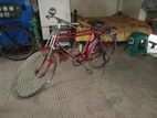 Bicycle for sell