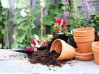 পট সয়েল ( Pot Soil ) ১ কেজি প্যাকেট