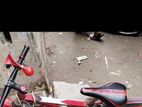 পুরাতন সাইকেল