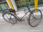 Purano bicycle sale