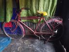 bicycle sell