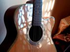 Pure Acoustic Guiter (TGM)