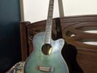 Pureton Acoustic Guitar