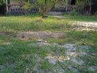 পূর্বাচল বাণিজ্যমেলা সন্নিকটে বিক্রয়