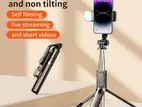 Q07 4-in-1 Selfie Stick: Tripod, Remote, Light