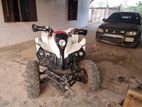 ATV Off Road Quad bike/ATV 2020